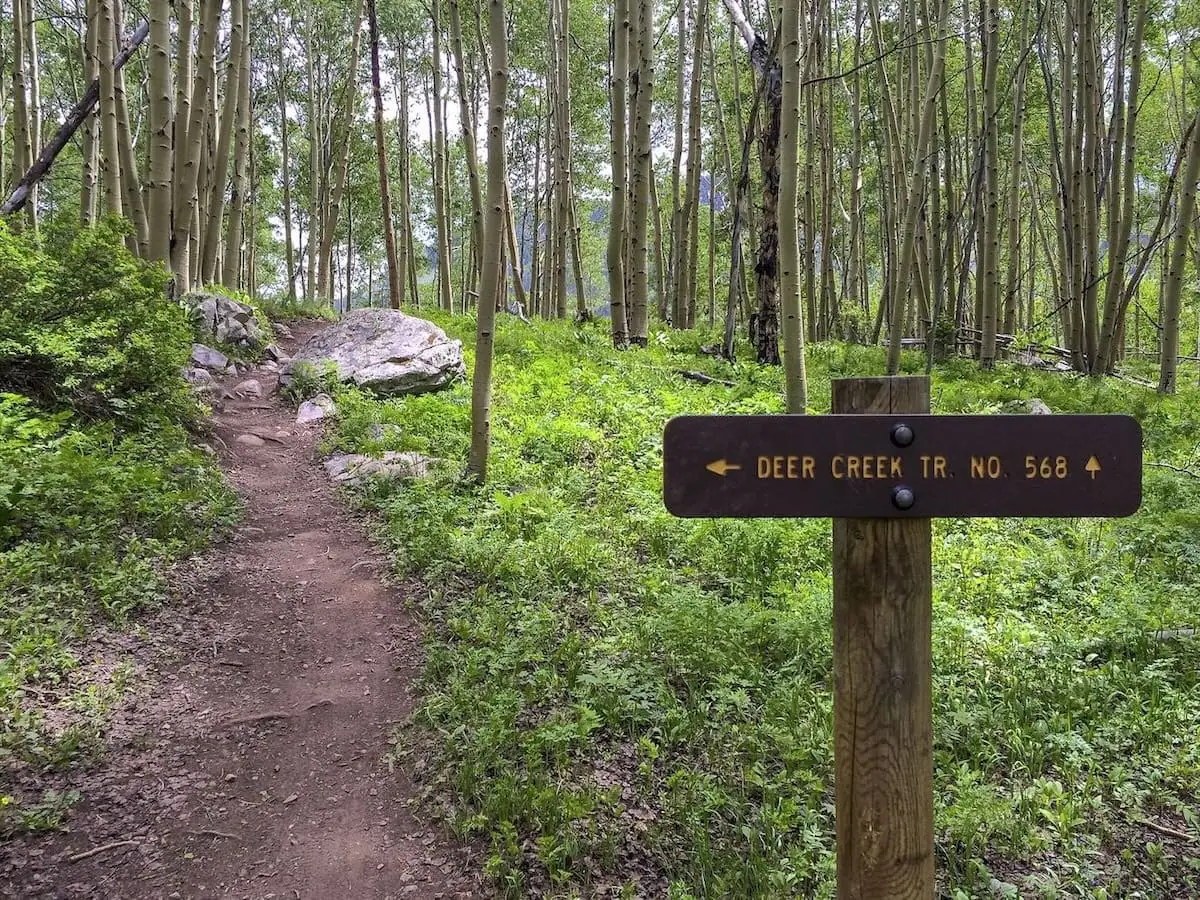 Deer Creek Trail via Gothic Valley trail photo