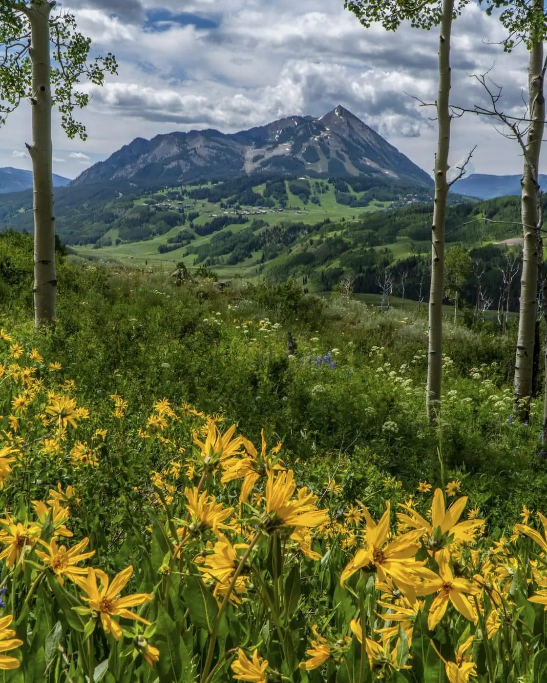 Deer Creek Trail via Gothic Valley trail photo