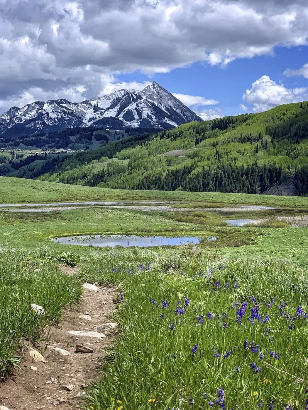 Deer Creek Trail via Gothic Valley trail photo
