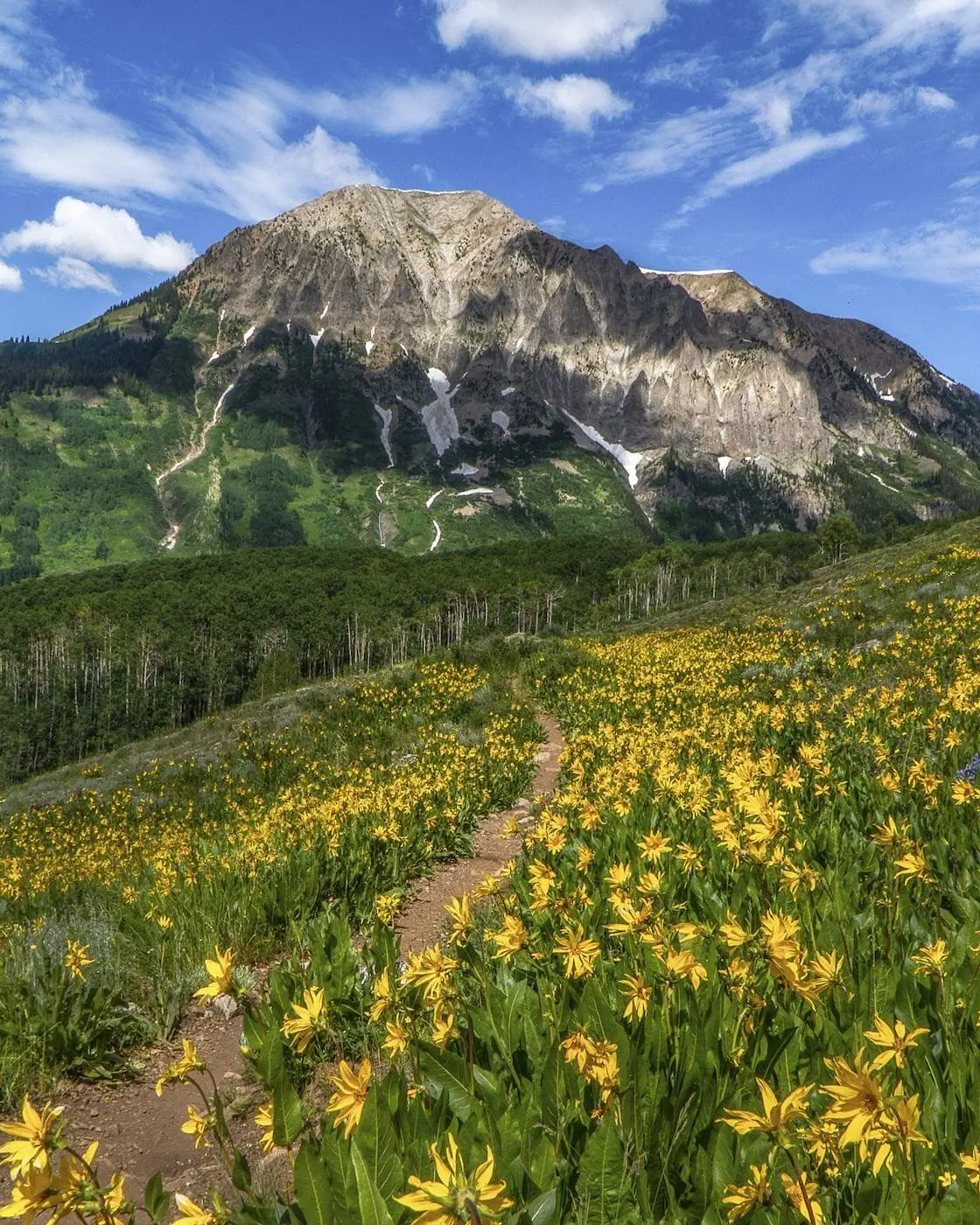 Deer Creek Trail via Gothic Valley trail photo