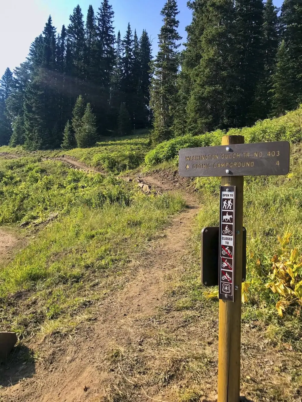 Trail 403 sign near the start