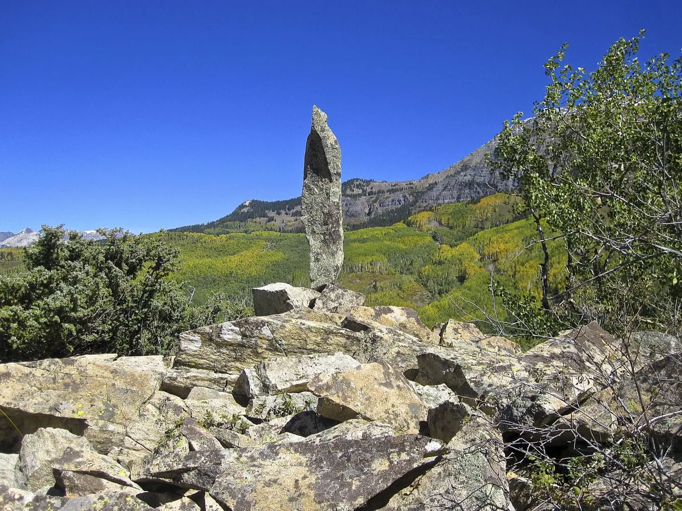 Horse Ranch Park Loop trail photo