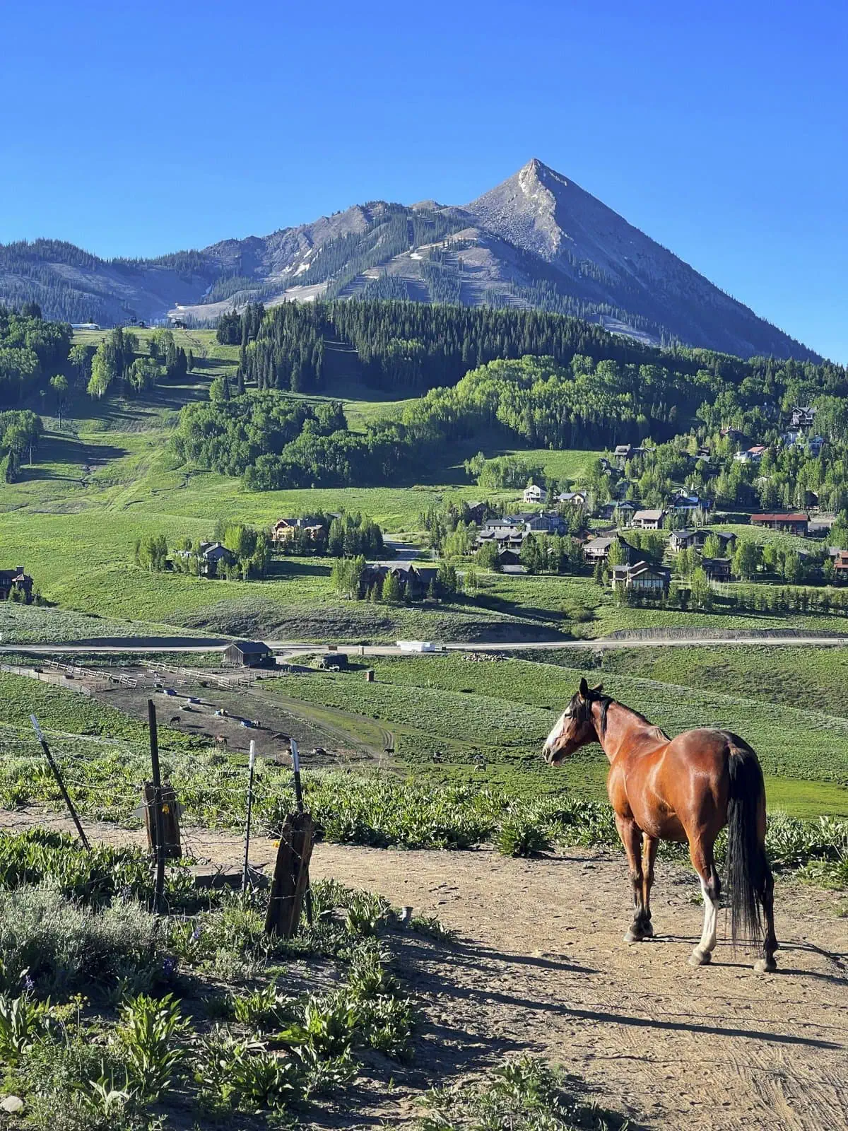 Teddy’s Trail via Snodgrass trail photo