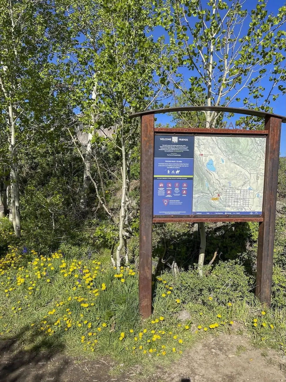 Woods Walk trail photo
