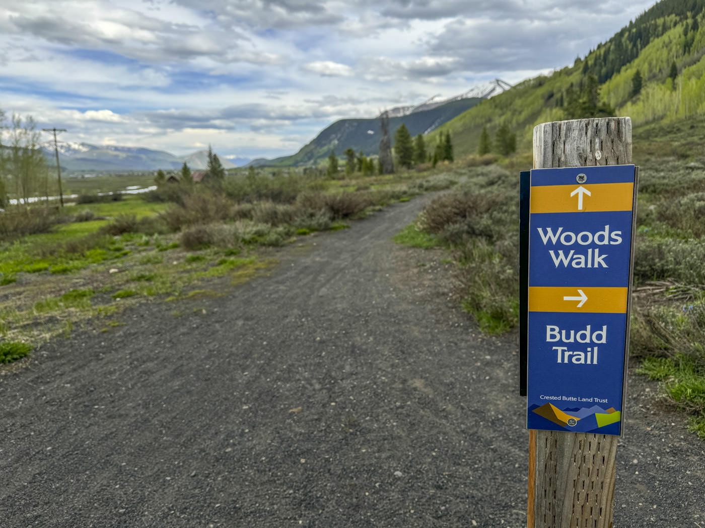 Woods Walk trail photo