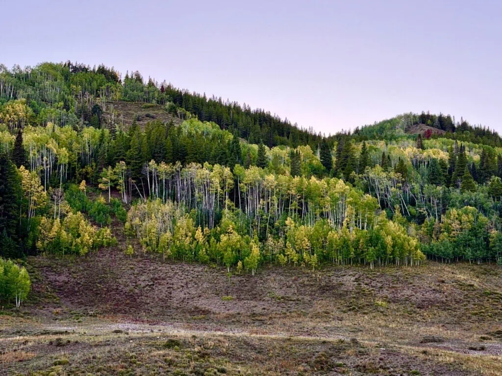 Meridian Lake Hillside