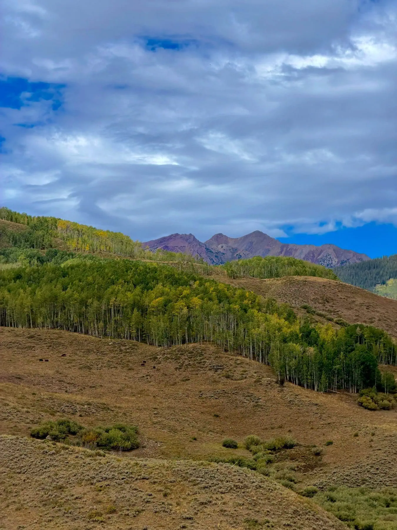 Gothic Valley
