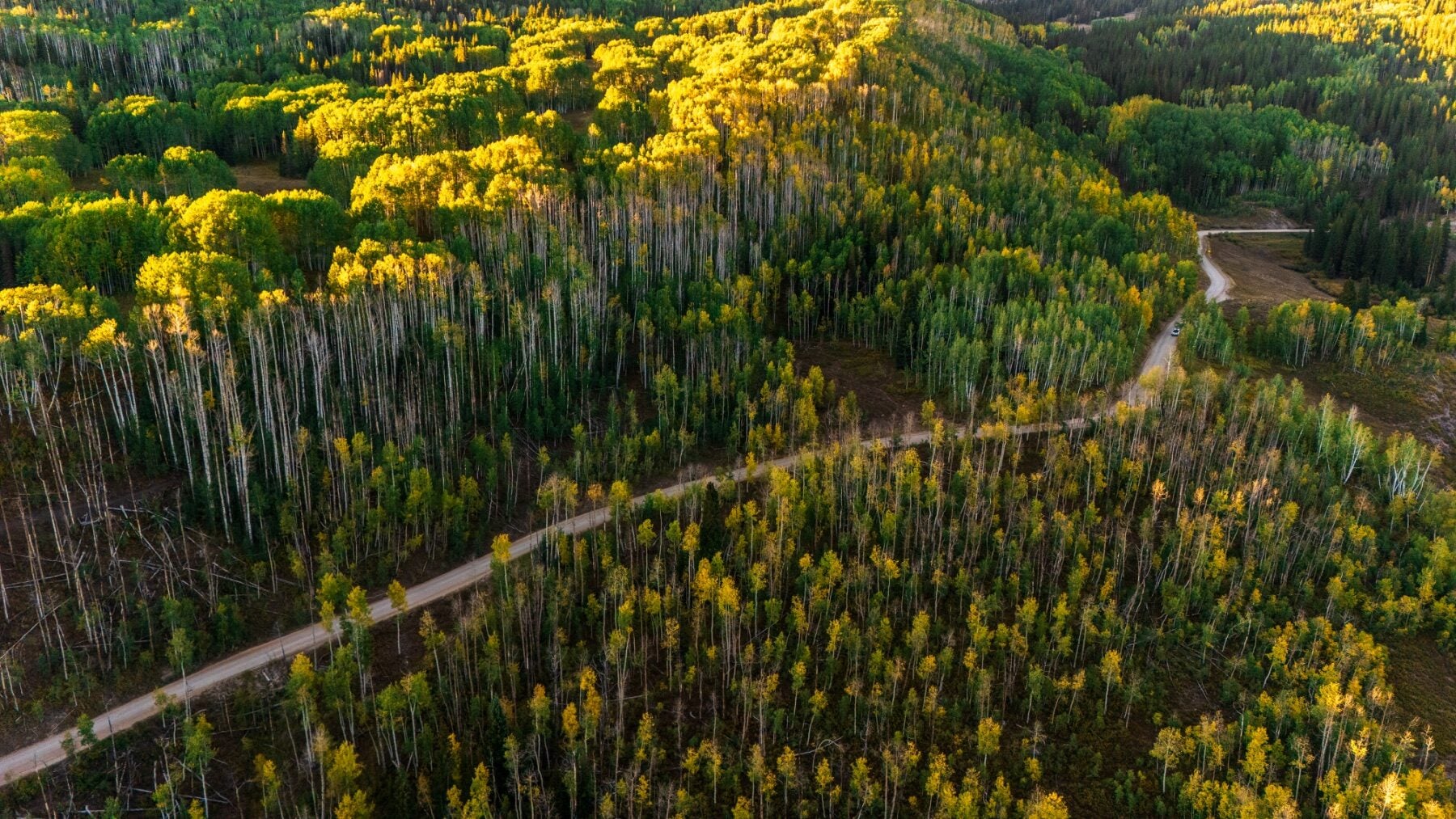 Kebler Pass