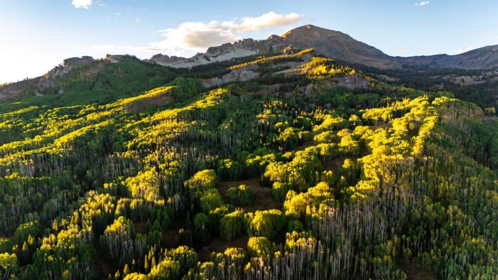 Kebler Pass Overlooking Ruby Peak
