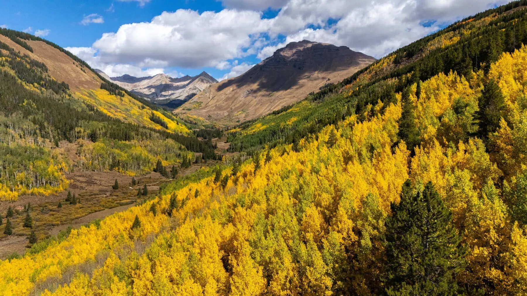 Brush Creek Overlooking Teocalli Mountain