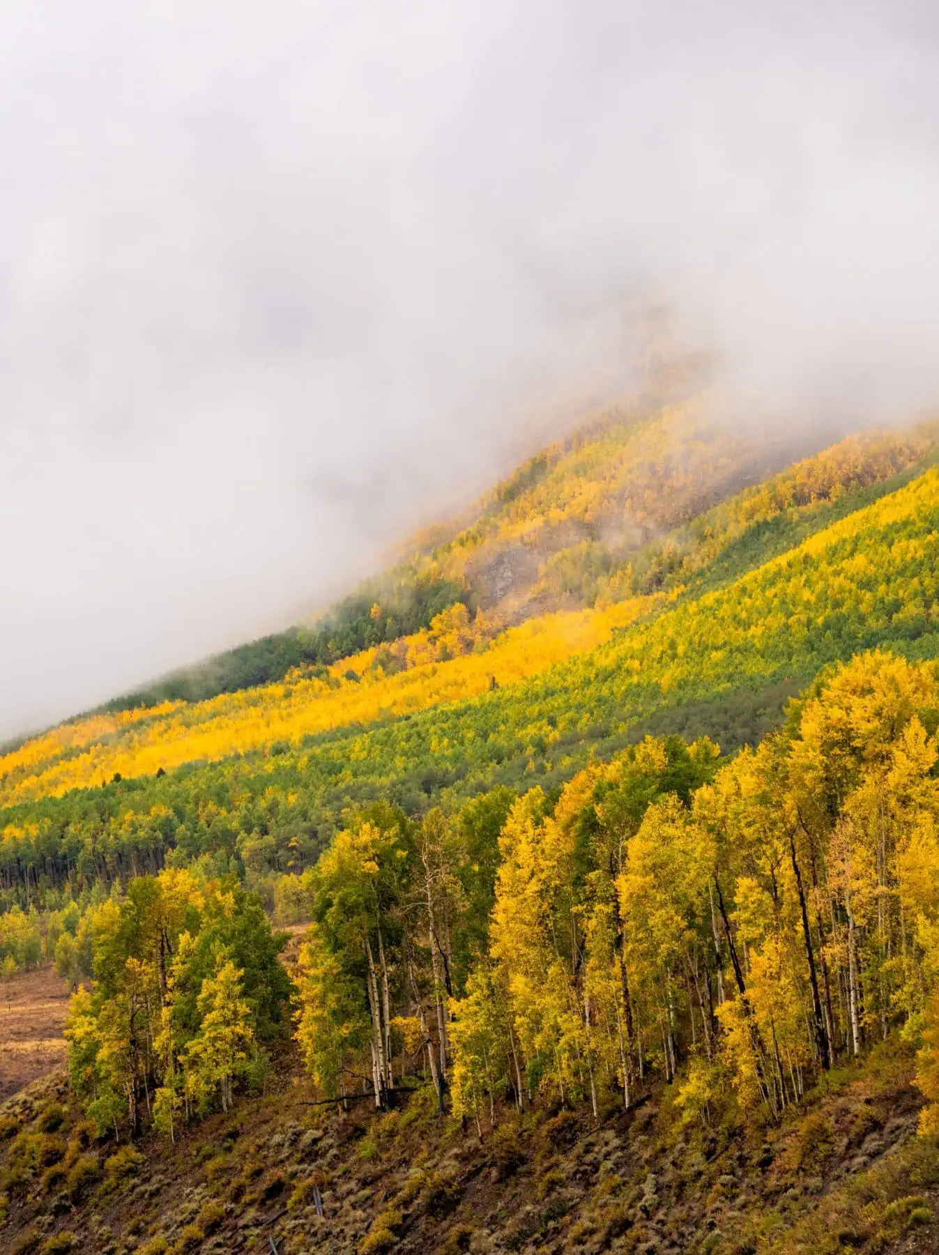 Washington Gulch