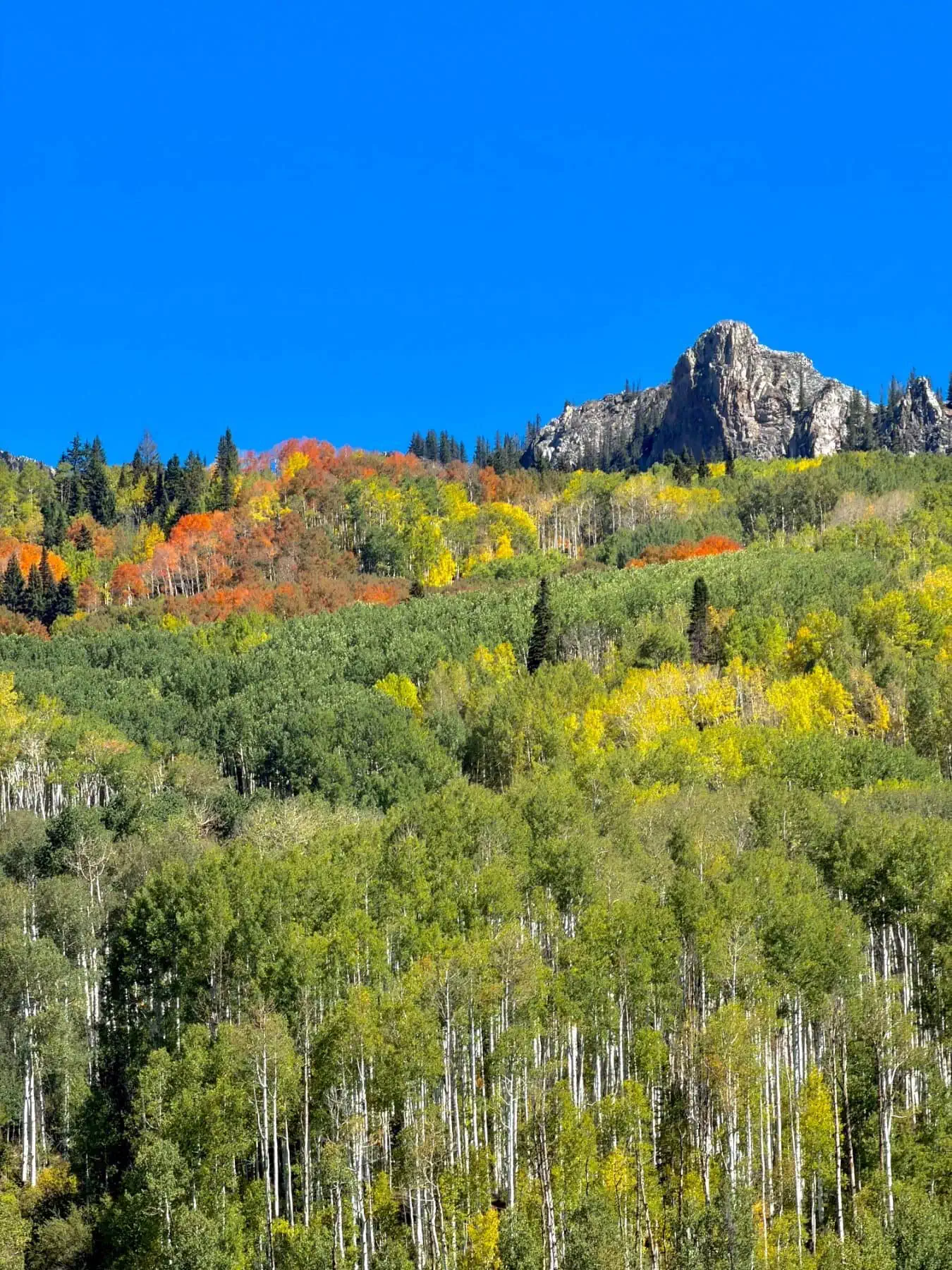 Kebler Pass