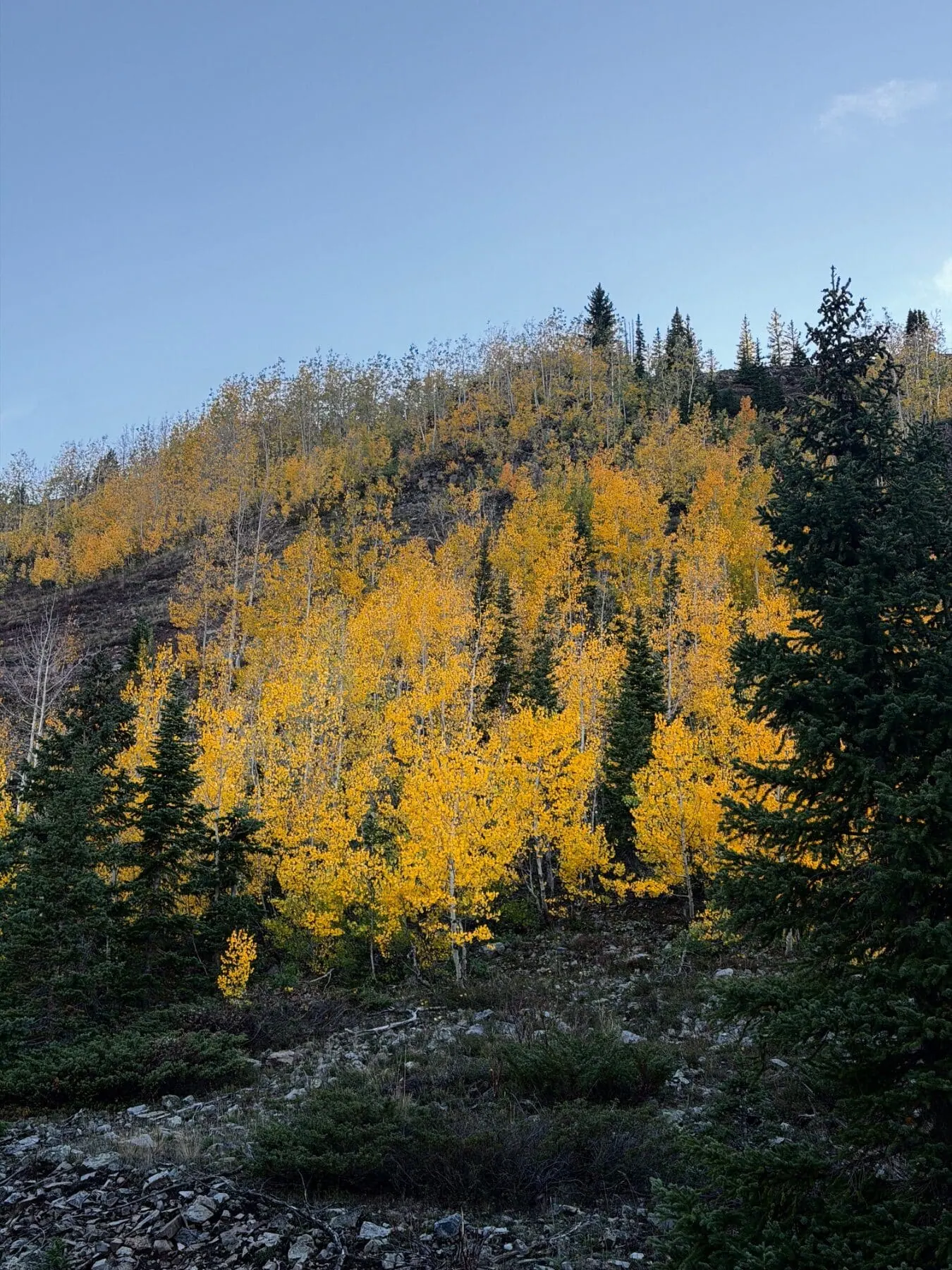 Gunsight pass