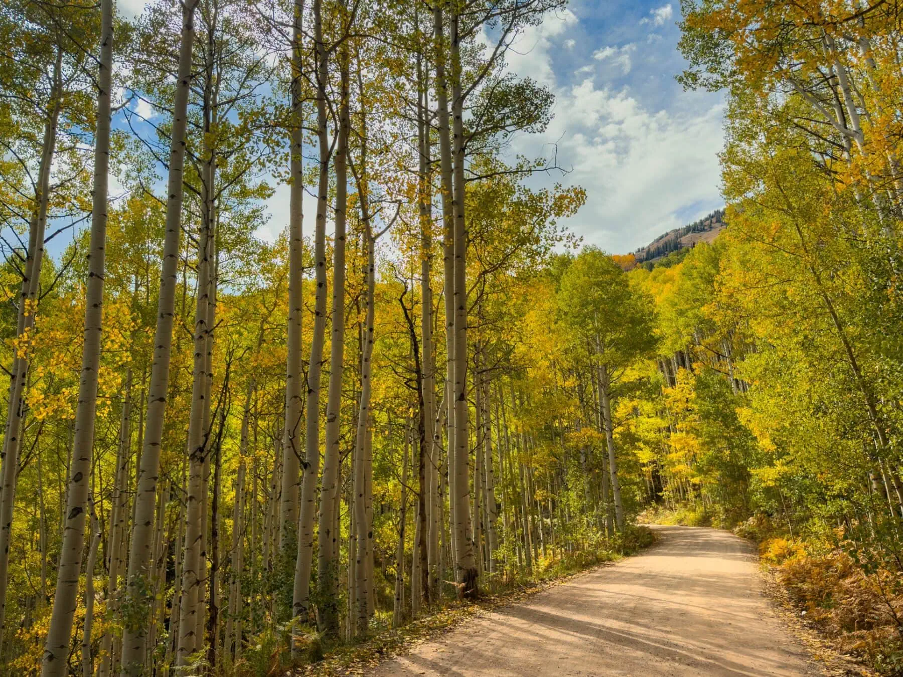 Ohio Pass