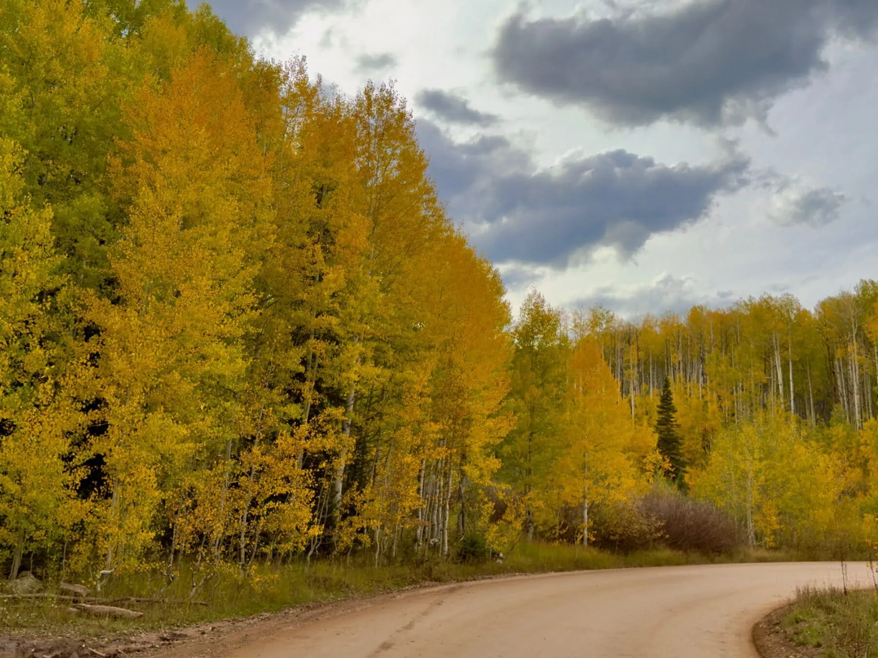 Kebler Pass