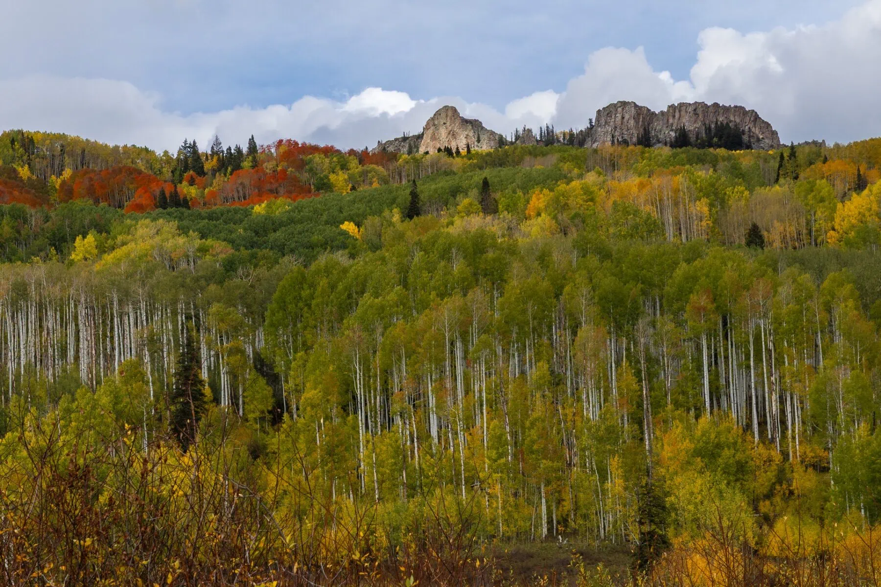 Kebler Pass