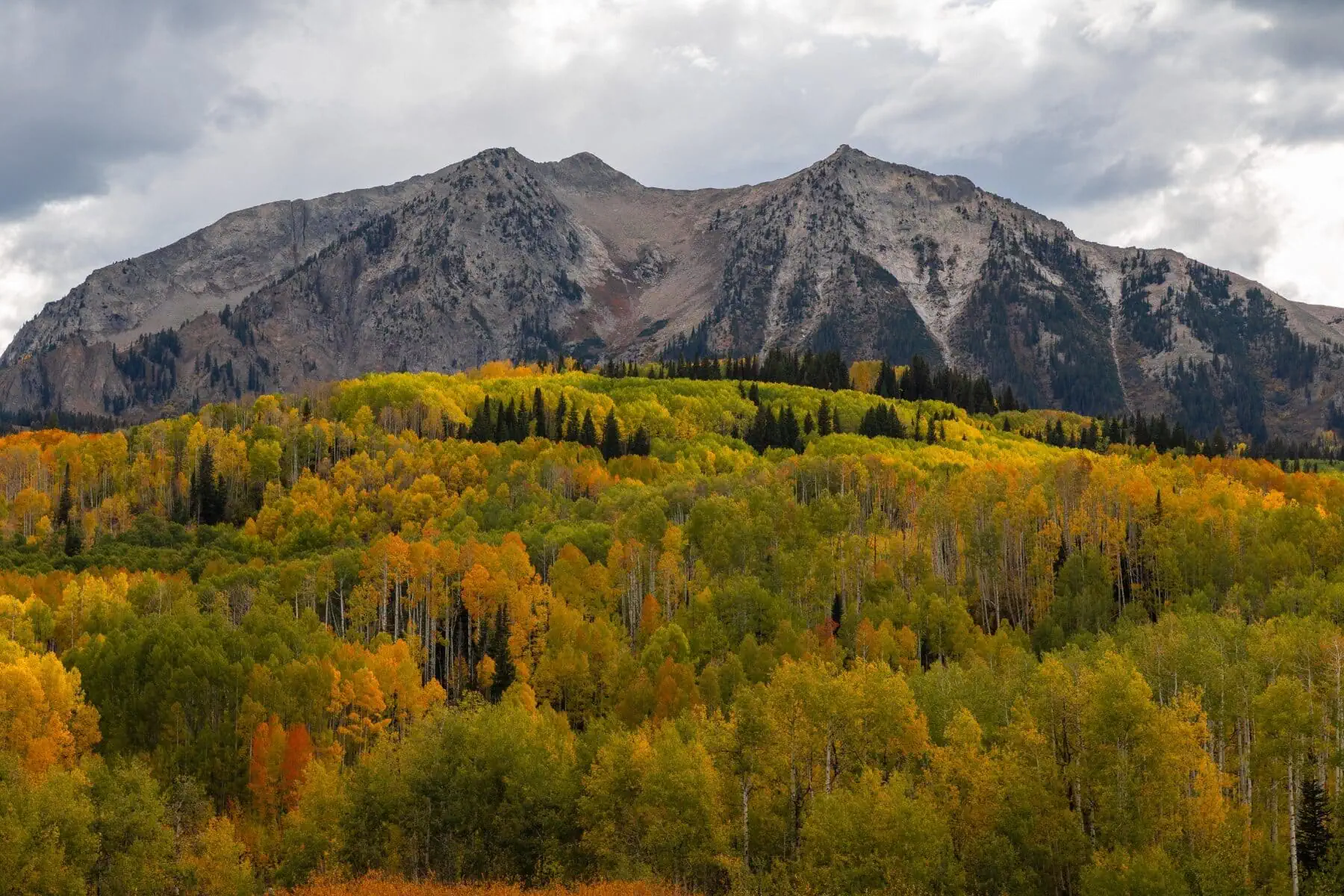 Kebler Pass