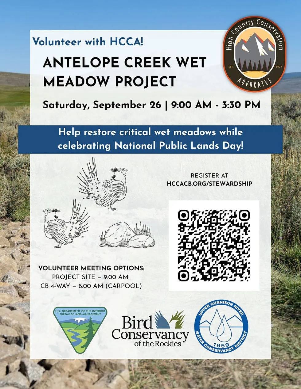Antelope Creek Wet Meadow Restoration Project