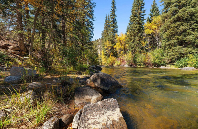 10825 county road 742 43 1 768x500