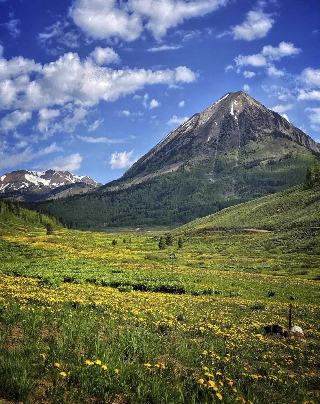 Gothic Mountain over a wildflower meadow