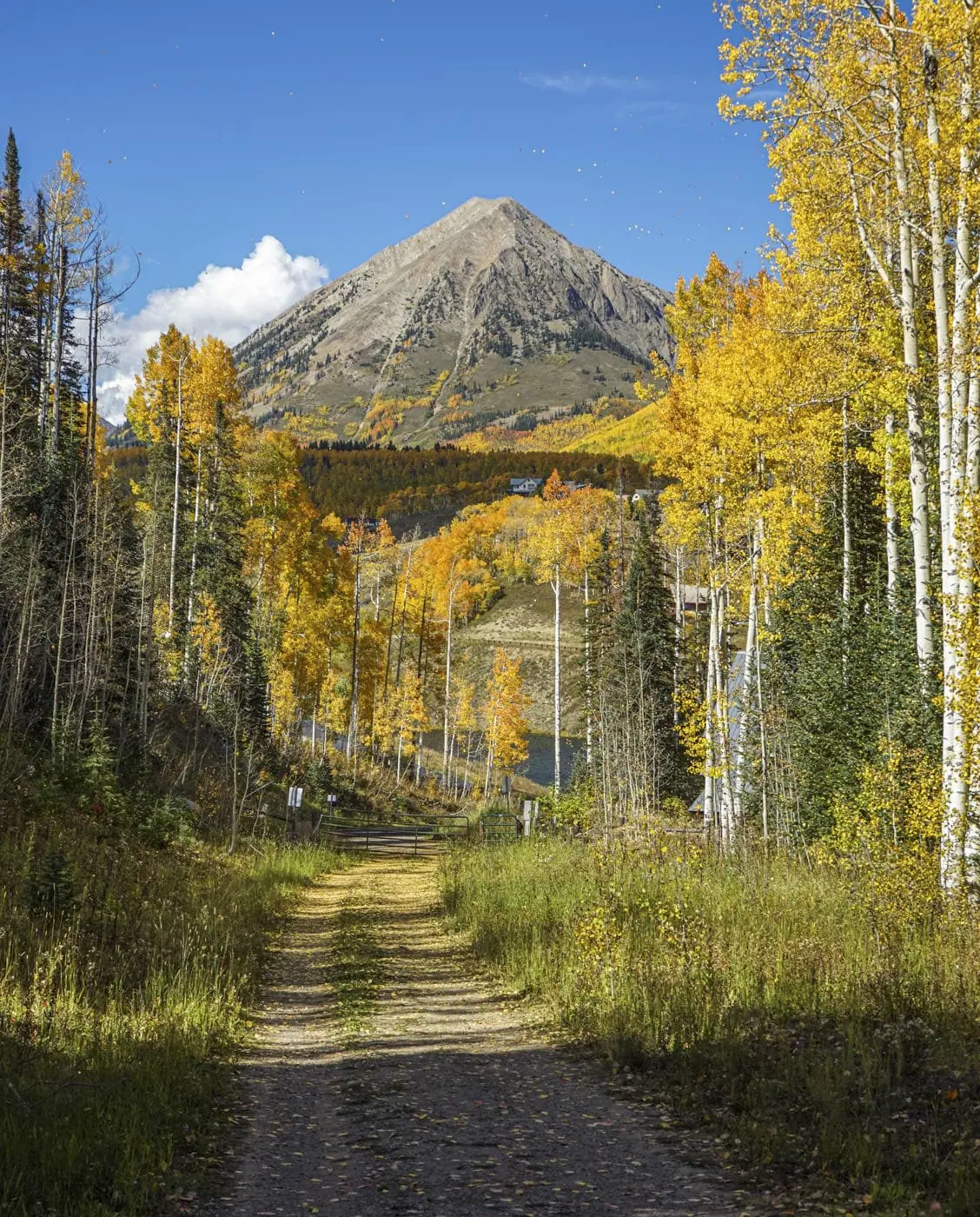 The gravel road, with Gothic Mountain ahead