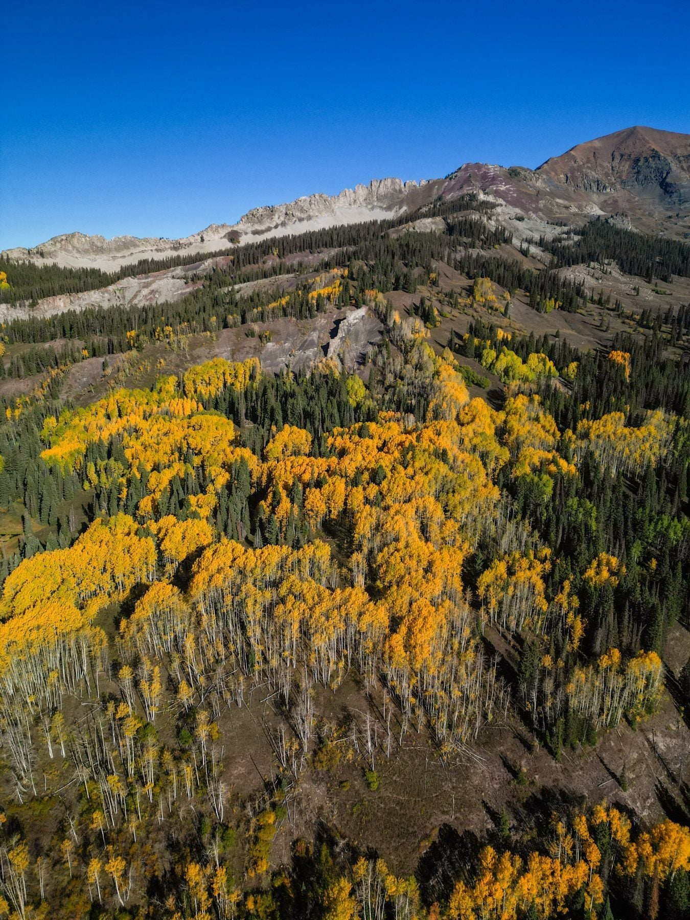 Kebler Pass