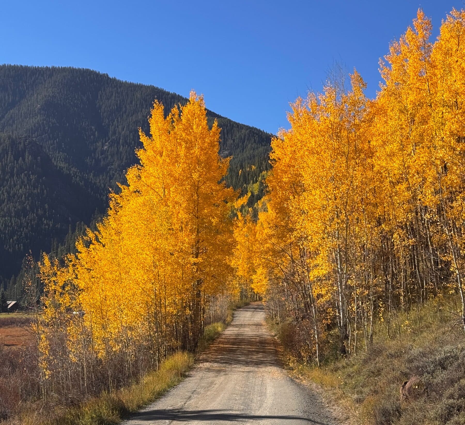 Cement Creek Road
