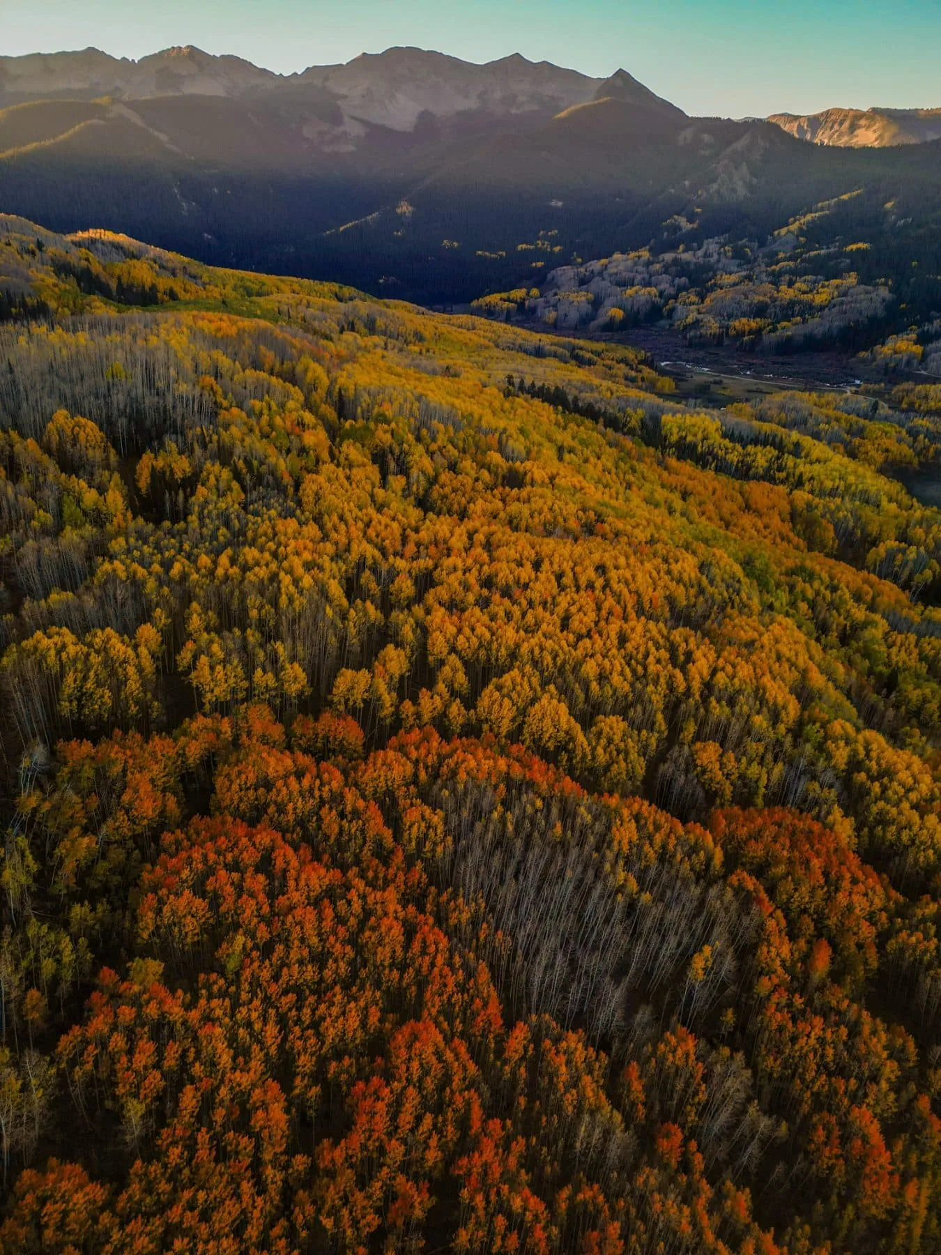 Kebler Pass