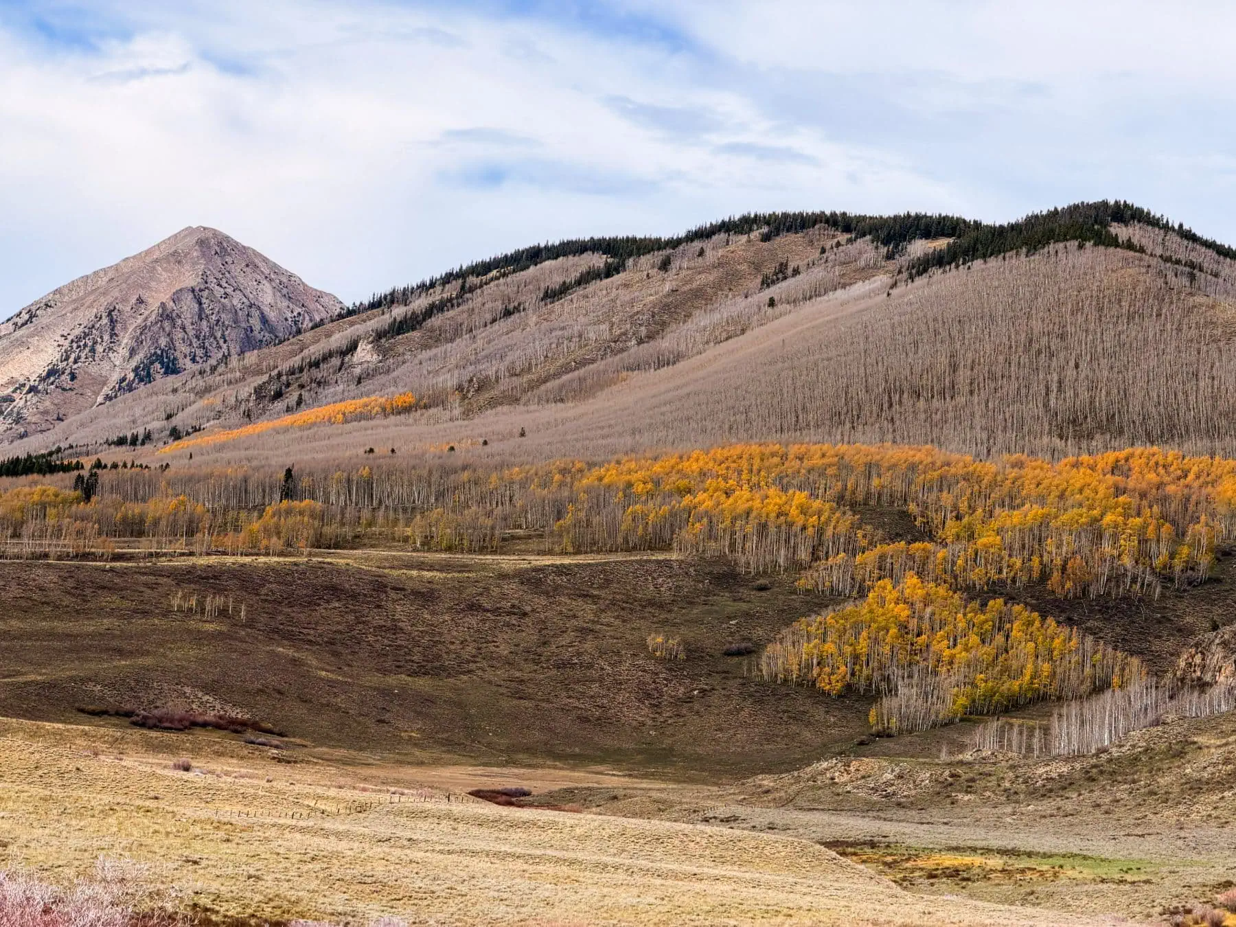 Washington Gulch
