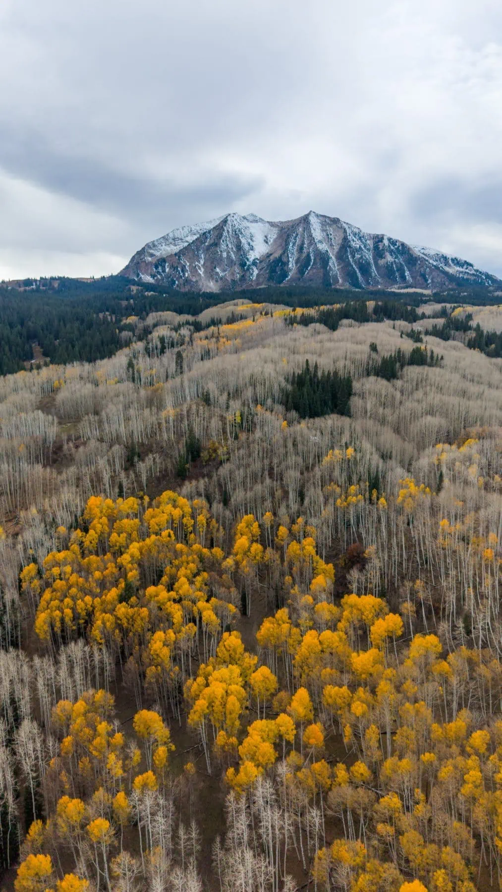 Kebler Pass