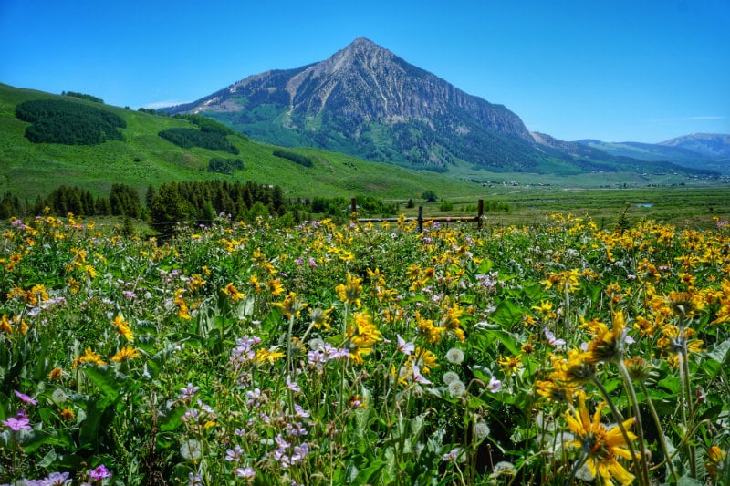 Top 6 Easy Crested Butte Hiking Trails Close To Town