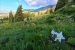 Crested Butte Trails: Scarp Ridge Middle Loop