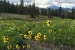 Crested Butte Trails: Scarp Ridge Middle Loop