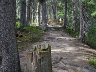 long lake strenuous3