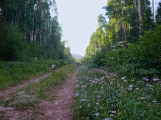 long lake3